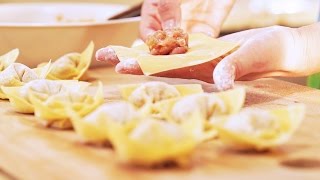 7 Cool Ways to Wrap Wonton CiCi Li [upl. by Obbard170]