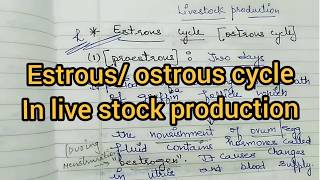 Estrous Cycle in Cows inHindi Livestock ProductionRitikas tutorial [upl. by Maryjo2]