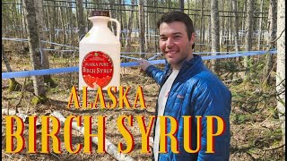 Birch Syrup hack your health and breakfast with this tasty Alaska treat [upl. by Brookhouse407]