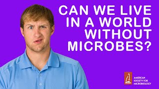 Can We Live in a World Without Microbes [upl. by Joseito]