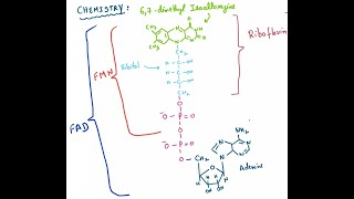 RIBOFLAVIN VITAMIN B2 [upl. by Ellekcim]