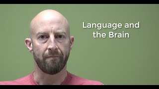 Psycholinguistics Language and the Brain [upl. by Akelahs]