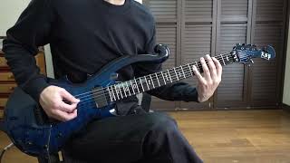 MALICE MIZER 幻想楽園 Guiter cover [upl. by Charisse]