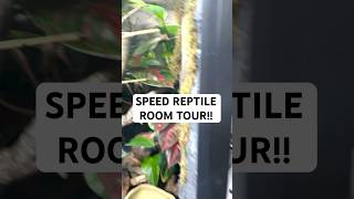 REPTILE ROOM TOUR in 60 seconds [upl. by Boigie]