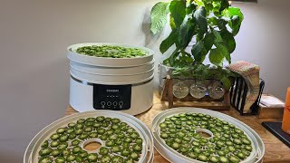 Dehydrating Jalapeño Peppers [upl. by Henghold869]