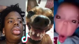 THE FUNNIEST TIK TOK MEMES Of August 2023  Try Not To LAUGH 😂  15 [upl. by Enirrok]