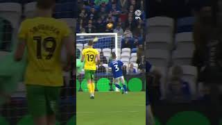 Borja Sainz goal against Cardiff unlucky result but we move to Sheffield Wednesday [upl. by Lateehs]