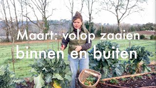 Inis Moestuin 89  Maart volop zaaien binnen en buiten amp compostwormen bijvoeren met droog voer [upl. by Sailesh]