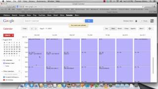 Using Google Calendar for Volunteer Management [upl. by Hannie]