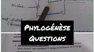 Préparation examen floristiquephylogénèse [upl. by Primrosa901]