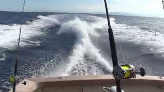 Costa Rica Sportfishing [upl. by Domenech]