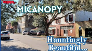 Micanopy Fl Tour  Downtown Historic Cemetery Amazing Florida Barbecue and More [upl. by Elaine343]