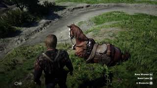 RDR2 Mod Roleplayers Dream Gameplay [upl. by Eilatam879]