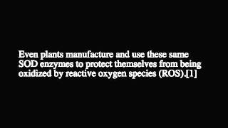 Superoxide Dismutase the Enzyme of Youth [upl. by Powe]