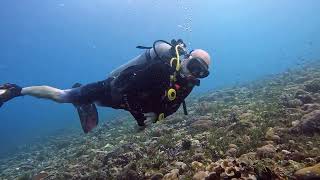 GILI TRAWANGAN ISLAND  TURTLE HEAVEN  DIVE 5  AUG 3rd 2024 [upl. by Ajin]