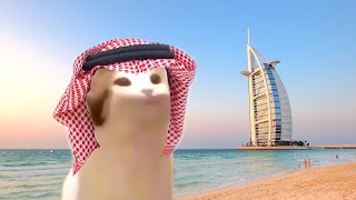 Pop Cat sings Nokia Arabic Ringtone [upl. by Onitnelav]