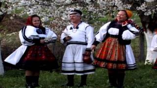 Maria Tripon  Nui pasăre ca cucu  Romanian folk music from Oaș Country [upl. by Sedberry153]