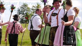 Viehscheid Wengen  Almabtrieb von der Alpe Wengener Eck [upl. by Anitnatsnoc558]