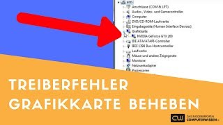 Treiberpanne bei Grafikkarte beheben  TUTORIAL [upl. by Saiff254]