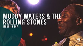 Muddy Waters amp The Rolling Stones  Mannish Boy Live At Checkerboard Lounge [upl. by Auqenwahs]