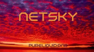 Netsky Tribute Mix PureLiquid Mix 216 [upl. by Lincoln81]