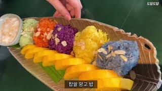 하노이 살이  엘가우초  우담차이  하노이맛집 투어  하노이 일식  유타카  먹방 하루하루  갤럭시폴더4 [upl. by Fermin]