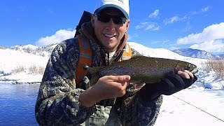 South Platte River Trout Fishing  Colorado [upl. by Saimon331]