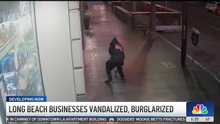 Criminals strike at Long Beach businesses [upl. by Aikenahs]