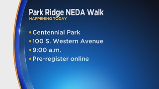 NEDA annual walk happening in Park Ridge [upl. by Kariv]