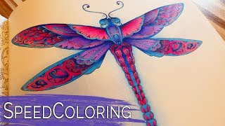 Coloring a Dragonfly  Enchanted Forest  Johanna Basford [upl. by Anihsit585]