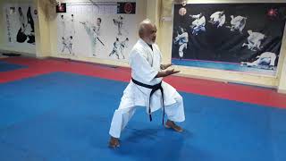 Seienchin Kata Performed by Hanshi V SASIDHARAN [upl. by Jonie95]