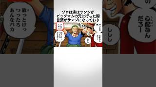 サンジが一味を離れた際に実は心配していたゾロに関する雑学 ワンピース onepiece [upl. by Oluas255]