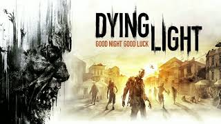 Dying Light Harran Prison Combat Music [upl. by Kayne]