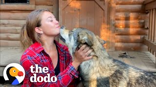 Woman Rescues The Friendliest Wolf Dog  The Dodo [upl. by Kyne972]