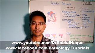 Infective Endocarditis Part 1 HD [upl. by Amasa]