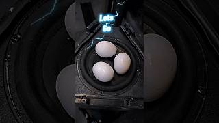 Subwoofer 🔊 🆚 Eggs🥚bass test shorts albatross [upl. by Eilra950]