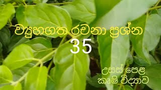 Structured Essay 35  Agricultural Science for Advance Level Examination Sinhala medium [upl. by Fortunato424]