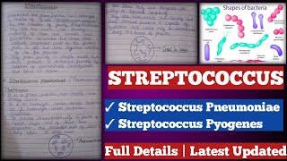 Streptococcus  streptococcus Pyogenes  streptococcus pneumoniae [upl. by Wendi]