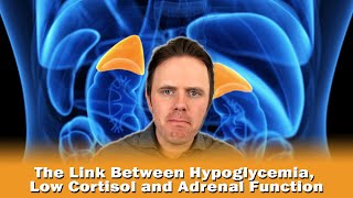 The Link Between Hypoglycemia Low Cortisol and Adrenal Function [upl. by Arehs]