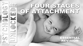 Four Stages of Attachment John Bowlby  Attachment  Psychology Revision Tool [upl. by Neyuh]