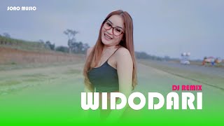 WIDODARI  DELIA SALSABILLA OFFICIAL DANCE VIDEO [upl. by Lyndell]