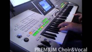 Can You Feel The Love Tonight • Yamaha Tyros 3 Demo • PREMIUM Voice ChoirampVocals [upl. by Isman416]