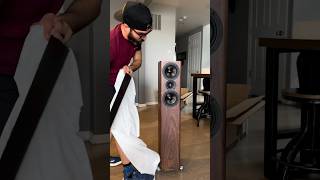 Unboxing the truly stellar Acoustic Energy AE509 tower speakers Learn more at fidelityimportscom [upl. by Gavrah513]