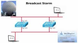 Broadcast Storm CCNA Complete Video Course Sample [upl. by Fisken195]