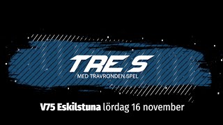 Speltips V75 Eskilstuna 16 november [upl. by Sonnnie]