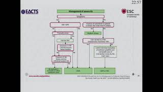 ESCEACTS Guidelines for the Management of Valvular Heart Disease [upl. by Nurav676]