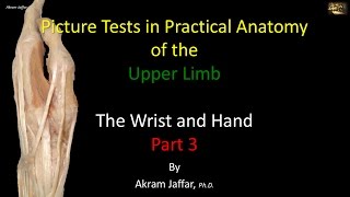 Picture Test in upper limb Anatomy Wrist and Hand 3 [upl. by Ajar]