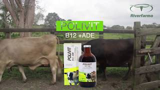 Polivit B12ADE [upl. by Malvie776]