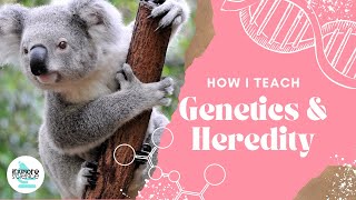 How I Teach In 3D PhenomenonBased Genetics And Heredity For The NGSS [upl. by Turmel]