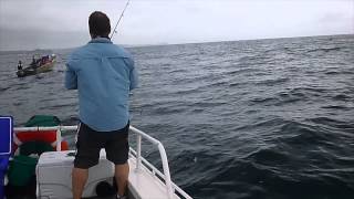 How to catch Kingfish on soft plastics  Ep 26 [upl. by Ailedo942]